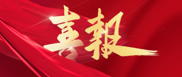 捷报频传｜z6com·尊龙接连中标大型企业集团财资领域项目